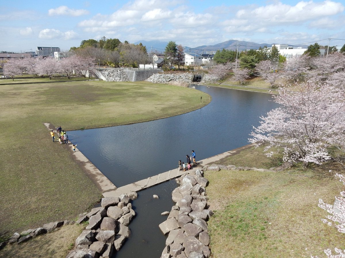 🌳 소리마치의 숲 공원(소리마치노모리 코엔) 이미지 8